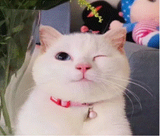 可爱